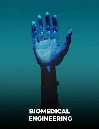 Biomedical Engineering editing and dissertation support