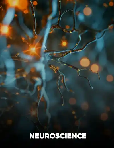 Neuroscience editing and dissertation support
