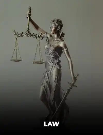 Law editing and dissertation support